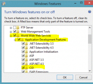 IIS Add Features (CGI) Windows 8 Metro